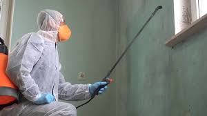 Mold Odor Removal Services in Rancho Mirage, CA